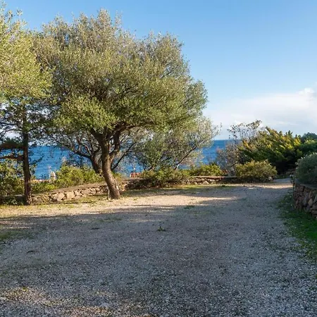 Al Mare - Cala Gonone Διαμέρισμα *